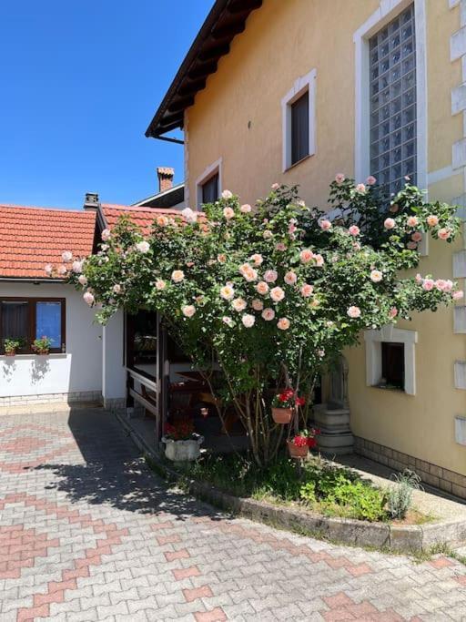 Sweet apartment in Otočac HELENA Buitenkant foto